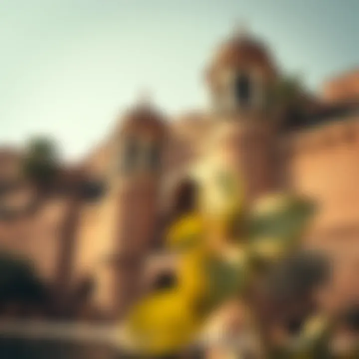Historical landmarks in Wadi Dubai highlighting the region's rich heritage